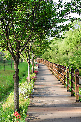 포토 JPG 주간 나무 공원 길 자연 한국 풍경 사람없음 야외 초록색 산책로 원근감 숲 대전 대청공원 국내포토 자연요소 식물 공공시설 아시아 뷰포인트 컬러 생태계 파일형식