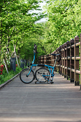 포토 JPG 주간 나무 공원 길 자연 한국 풍경 사람없음 야외 초록색 자전거 원근감 숲 대전 대청공원 국내포토 자연요소 식물 공공시설 아시아 뷰포인트 컬러 바이크 생태계 파일형식