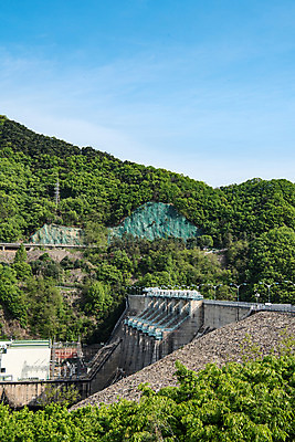 포토 JPG 주간 나무 자연 한국 풍경 사람없음 야외 초록색 맑음 숲 댐 대전 대청댐 국내포토 자연요소 식물 공공시설 아시아 컬러 날씨 생태계 파일형식