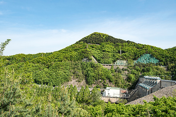 포토 JPG 주간 나무 자연 한국 풍경 사람없음 야외 초록색 맑음 숲 댐 대전 대청댐 국내포토 자연요소 식물 공공시설 아시아 컬러 날씨 생태계 파일형식