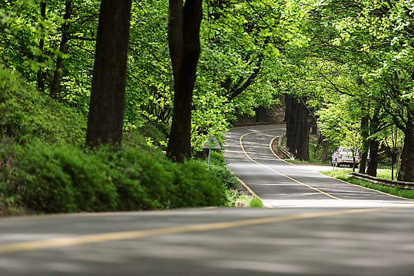 포토 JPG 주간 나무 공원 도로 자연 한국 풍경 사람없음 야외 초록색 맑음 원근감 숲 가로수 청남대 국내포토 자연요소 식물 공공시설 아시아 길 뷰포인트 컬러 교통시설 날씨 생태계 파일형식 청주_지역
