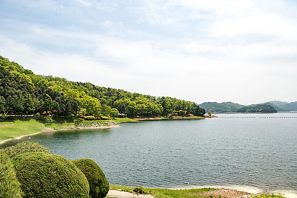 포토 JPG 주간 나무 호수 자연 한국 풍경 사람없음 야외 초록색 맑음 숲 대청호 청남대 국내포토 자연요소 식물 아시아 컬러 날씨 생태계 청주 파일형식 청주_지역