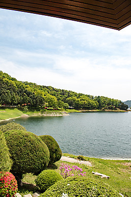 포토 JPG 주간 나무 호수 자연 한국 풍경 사람없음 야외 초록색 맑음 숲 대청호 청남대 국내포토 자연요소 식물 아시아 컬러 날씨 생태계 청주 파일형식 청주_지역