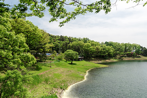 포토 JPG 주간 나무 호수 자연 한국 풍경 사람없음 야외 초록색 맑음 숲 대청호 청남대 국내포토 자연요소 식물 아시아 컬러 날씨 생태계 청주 파일형식 청주_지역