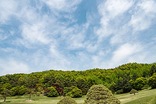 포토 JPG 주간 나무 구름 공원 자연 하늘 한국 풍경 사람없음 야외 초록색 맑음 숲 청남대 국내포토 자연요소 식물 공공시설 아시아 컬러 날씨 생태계 파일형식 청주_지역