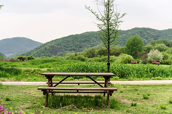포토 JPG 주간 나무 공원 벤치 자연 한국 풍경 사람없음 야외 초록색 맑음 퇴촌 광동청정습지 국내포토 광주시 자연요소 식물 공공시설 아시아 컬러 의자 날씨 생태계 경기도 파일형식 광주_지역