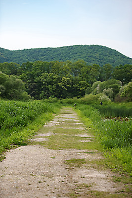 포토 JPG 주간 나무 공원 길 자연 한국 풍경 사람없음 야외 초록색 맑음 원근감 퇴촌 광동청정습지 국내포토 광주시 자연요소 식물 공공시설 아시아 뷰포인트 컬러 날씨 생태계 경기도 파일형식 광주_지역