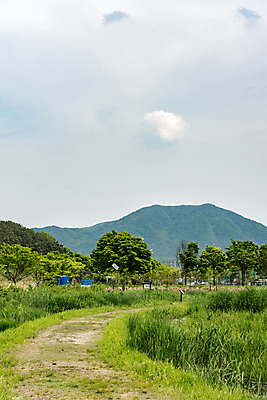 포토 JPG 주간 나무 구름 공원 길 자연 하늘 한국 풍경 사람없음 야외 초록색 맑음 풀잎 습지 퇴촌 광동청정습지 국내포토 광주시 자연요소 식물 공공시설 아시아 컬러 잎 날씨 풀_식물 생태계 경기도 파일형식 광주_지역