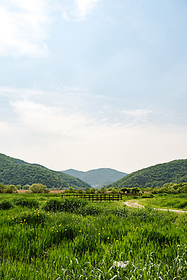 포토 JPG 주간 나무 공원 자연 하늘 한국 풍경 사람없음 야외 초록색 맑음 풀잎 습지 퇴촌 광동청정습지 국내포토 광주시 자연요소 식물 공공시설 아시아 컬러 잎 날씨 풀_식물 생태계 경기도 파일형식 광주_지역