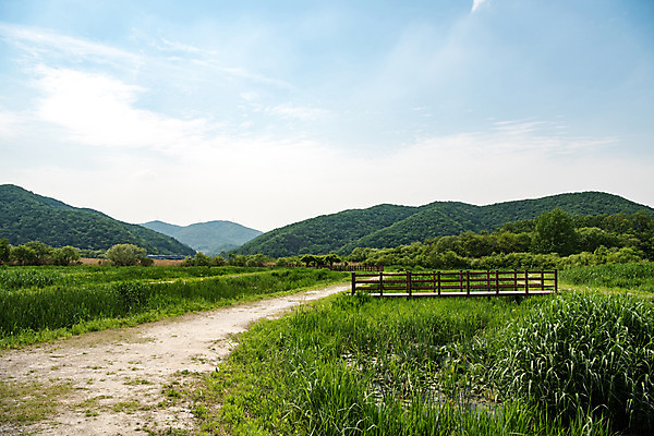 포토 JPG 주간 나무 공원 길 자연 하늘 한국 풍경 사람없음 야외 초록색 맑음 습지 퇴촌 광동청정습지 국내포토 광주시 자연요소 식물 공공시설 아시아 컬러 날씨 생태계 경기도 파일형식 광주_지역