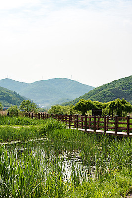 포토 JPG 주간 나무 공원 자연 하늘 한국 풍경 사람없음 야외 초록색 맑음 연못 습지 퇴촌 광동청정습지 국내포토 광주시 자연요소 식물 공공시설 아시아 컬러 날씨 생태계 경기도 파일형식 광주_지역