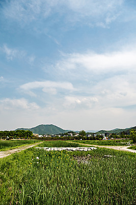 포토 JPG 주간 나무 구름 공원 자연 하늘 한국 풍경 사람없음 야외 초록색 맑음 풀잎 습지 퇴촌 광동청정습지 국내포토 광주시 자연요소 식물 공공시설 아시아 컬러 잎 날씨 풀_식물 생태계 경기도 파일형식 광주_지역