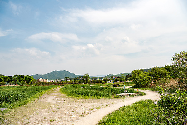 포토 JPG 주간 나무 구름 공원 길 자연 하늘 한국 풍경 사람없음 야외 초록색 맑음 습지 퇴촌 광동청정습지 국내포토 광주시 자연요소 식물 공공시설 아시아 컬러 날씨 생태계 경기도 파일형식 광주_지역
