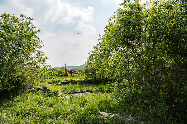 포토 JPG 주간 나무 공원 자연 하늘 한국 풍경 사람없음 야외 초록색 맑음 퇴촌 광동청정습지 국내포토 광주시 자연요소 식물 공공시설 아시아 컬러 날씨 생태계 경기도 파일형식 광주_지역