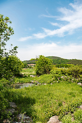 포토 JPG 주간 나무 구름 공원 자연 하늘 한국 풍경 사람없음 야외 초록색 맑음 습지 퇴촌 광동청정습지 국내포토 광주시 자연요소 식물 공공시설 아시아 컬러 날씨 생태계 경기도 파일형식 광주_지역