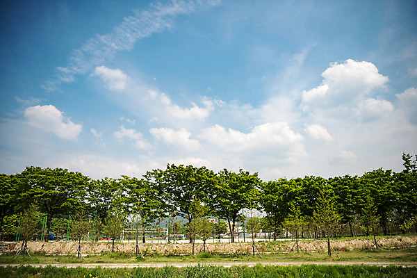 포토 JPG 주간 나무 구름 공원 길 자연 하늘 한국 풍경 사람없음 야외 초록색 맑음 퇴촌 광동청정습지 국내포토 광주시 자연요소 식물 공공시설 아시아 컬러 날씨 생태계 경기도 파일형식 광주_지역