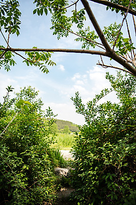 포토 JPG 주간 나무 공원 자연 하늘 한국 풍경 사람없음 야외 초록색 맑음 퇴촌 광동청정습지 국내포토 광주시 자연요소 식물 공공시설 아시아 컬러 날씨 생태계 경기도 파일형식 광주_지역