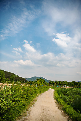 포토 JPG 주간 나무 구름 공원 길 자연 하늘 한국 풍경 사람없음 야외 초록색 맑음 퇴촌 광동청정습지 국내포토 광주시 자연요소 식물 공공시설 아시아 컬러 날씨 생태계 경기도 파일형식 광주_지역
