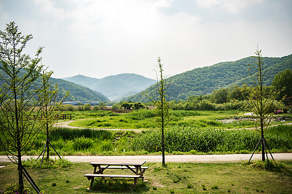 포토 JPG 주간 나무 공원 길 벤치 자연 한국 풍경 사람없음 야외 초록색 맑음 퇴촌 광동청정습지 국내포토 광주시 자연요소 식물 공공시설 아시아 컬러 의자 날씨 생태계 경기도 파일형식 광주_지역
