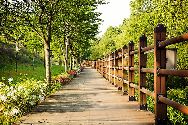 포토 JPG 주간 나무 공원 자연 풍경 사람없음 야외 초록색 맑음 산책로 원근감 숲 국내포토 자연요소 식물 공공시설 길 뷰포인트 컬러 날씨 생태계 파일형식