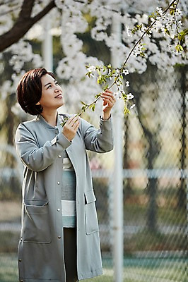 포토 JPG 주간 나무 응시 공원 여자 꽃 중년 50대 중년라이프 한명 서기 미소 상반신 야외 앞모습 아웃포커스 한국인 벚꽃 잡기 꽃구경 중년여자한명만 국내포토 자연요소 식물 1 라이프스타일 시선 공공시설 뷰포인트 모션 촬영기법 표정 사람 동양인 성인 여자한명만 중년여자만 파일형식