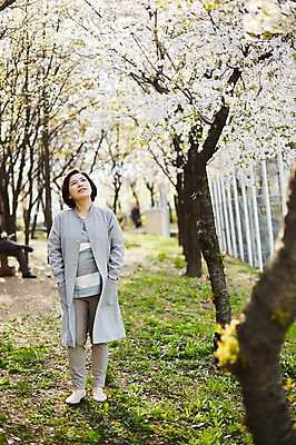 포토 JPG 주간 전신 나무 응시 공원 여자 꽃 중년 50대 중년라이프 한명 서기 미소 야외 앞모습 아웃포커스 한국인 벚꽃 꽃구경 중년여자한명만 국내포토 자연요소 식물 1 라이프스타일 시선 공공시설 뷰포인트 모션 촬영기법 표정 사람 동양인 성인 여자한명만 중년여자만 파일형식