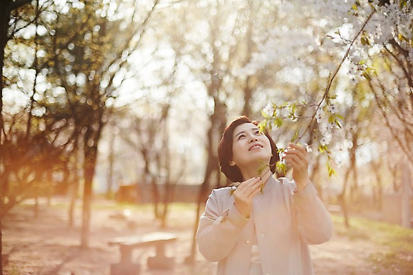 포토 JPG 주간 나무 응시 공원 여자 꽃 중년 50대 중년라이프 한명 서기 미소 상반신 야외 앞모습 아웃포커스 한국인 벚꽃 나뭇가지 잡기 꽃구경 중년여자한명만 국내포토 자연요소 식물 1 라이프스타일 시선 공공시설 뷰포인트 모션 촬영기법 표정 사람 동양인 성인 여자한명만 중년여자만 파일형식