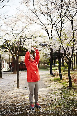 포토 JPG 주간 전신 나무 응시 공원 여자 중년 50대 중년라이프 한명 서기 야외 옆모습 아웃포커스 운동복 놀람 한국인 벚꽃 꽃구경 중년여자한명만 국내포토 자연요소 식물 1 라이프스타일 시선 옷 공공시설 꽃 감정 뷰포인트 모션 촬영기법 표정 사람 동양인 성인 여자한명만 중년여자만 파일형식