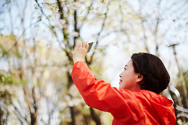 포토 JPG 주간 나무 응시 공원 여자 중년 50대 중년라이프 한명 서기 미소 들기 상반신 야외 옆모습 아웃포커스 스마트폰 운동복 사진촬영 한국인 꽃구경 중년여자한명만 국내포토 자연요소 식물 1 라이프스타일 시선 옷 공공시설 뷰포인트 모션 촬영기법 표정 사람 동양인 성인 핸드폰 스마트기기 촬영 여자한명만 중년여자만 파일형식