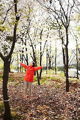 포토 JPG 주간 전신 나무 응시 공원 여자 중년 50대 중년라이프 팔벌리기 한명 서기 미소 야외 앞모습 아웃포커스 운동복 한국인 꽃구경 중년여자한명만 국내포토 자연요소 식물 1 라이프스타일 시선 옷 공공시설 뷰포인트 모션 촬영기법 표정 사람 동양인 성인 여자한명만 중년여자만 파일형식