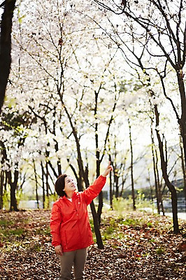 포토 JPG 주간 나무 응시 공원 여자 중년 50대 중년라이프 한명 서기 미소 상반신 야외 앞모습 운동복 한국인 벚꽃 가리킴 꽃구경 중년여자한명만 국내포토 자연요소 식물 1 라이프스타일 시선 옷 공공시설 꽃 뷰포인트 모션 표정 사람 동양인 손짓 성인 여자한명만 중년여자만 파일형식