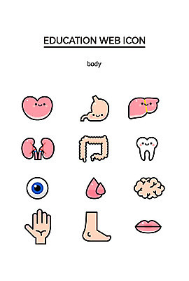 아이콘 손 교육 발 사람없음 신체부위 세트 귀여움 다양 심장 눈 혈액 신장 치아 눈동자 입술 뇌 간 웹아이콘 위장 2D아이콘 AI파일 자연요소 다수 컨셉 날씨 사람 눈_신체부위 소화기관 장기_의학 비뇨기관 파일형식 벡터