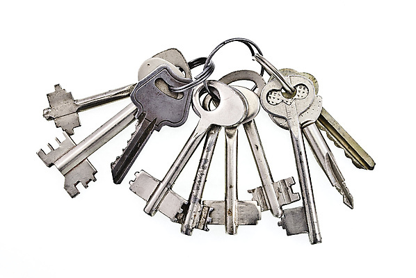 포토 JPG 해외이미지 컨셉 비즈니스 성공 열쇠 안전 사람없음 금속 금지 수확 반지 오픈 재산 클래식 보호 심볼 잠금 보안 해결 사생활 해외202004 해외포토 농업 장신구 재질 금융 파일형식 이미지허브