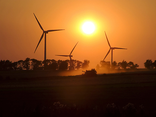 포토 JPG 해외이미지 밭 농업 오렌지 사람없음 경작 일몰 낟알 시리얼 해외202004 해외포토 산업 음식 과일 노을 농사 파일형식 이미지허브