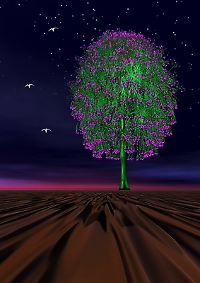 포토 JPG 해외이미지 나무 식물 꽃 별 잎 과일 일러스트 자연 하늘 따뜻함 풍경 사람없음 빨간색 세로 여름 파란색 빛 컬러풀 태양 평화 일출 정원 침묵 일몰 봄 추위 수확 가을 뜨거움 개화 사과 야간 저녁 싱글 상승 마법 반대 설정 대칭 환상 해외202004 해외포토 자연요소 계절 컬러 컨셉 농업 노을 소리 생태계 파일형식 이미지허브