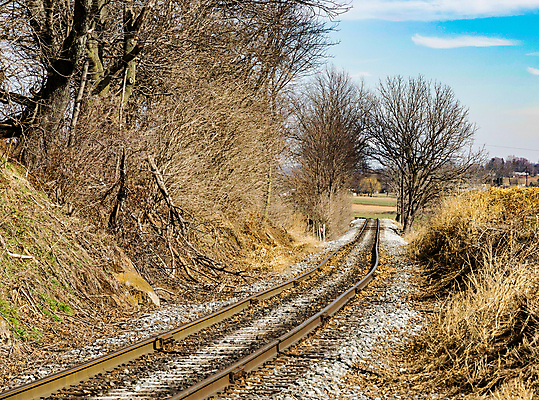 포토 JPG 해외이미지 외관 산업 여행 백그라운드 겨울 교통시설 사람없음 야외 목재 금속 미국 기차 수확 가을 시골 철 싱글 트랙 고립 선로 철강 혼자 해외202004 해외포토 나무 계절 육상교통 교통 북아메리카 농업 재료 재질 대중교통 시설 파일형식 이미지허브