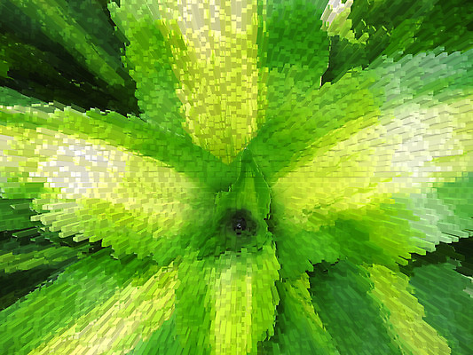 포토 JPG 해외이미지 식물 문화 백그라운드 잎 농업 채소 자연 추상 사람없음 초록색 여름 새싹 우주 환경 정원 봄 성장 신선 허브 원예 질감 내추럴 광합성 모종 밭일 생태학 세련 해외202004 해외포토 계절 교육 산업 컬러 무늬 취미 생태계 파일형식 이미지허브