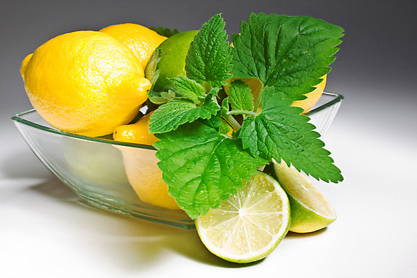 포토 JPG 해외이미지 접시 음식 잎 다이어트 채소 과일 재료 유리 귤 건강 사람없음 초록색 쌓기 흰색 신선 맛 시원함 먹기 레몬 민트 허브 라임 내추럴 고립 모히토 해외202004 해외포토 식물 식기 컬러 컨셉 모션 재질 칵테일 파일형식 이미지허브