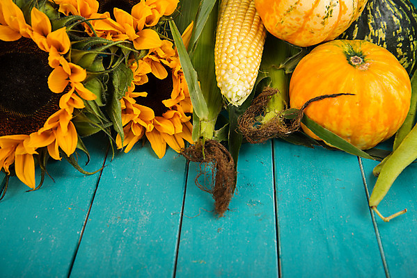 포토 JPG 해외이미지 계절 음식 백그라운드 농업 채소 오렌지 재료 탁자 건강 사람없음 목재 초록색 파란색 농작물 컬러풀 농장 노란색 정원 당근 가을 신선 시장 농부 수집 배열 유기농 날것 내추럴 구성 비트 숙성 정물화 채식주의자 해외202004 해외포토 나무 직업 웰빙 산업 컬러 가구 과일 뿌리채소 그림 채식 파일형식 이미지허브