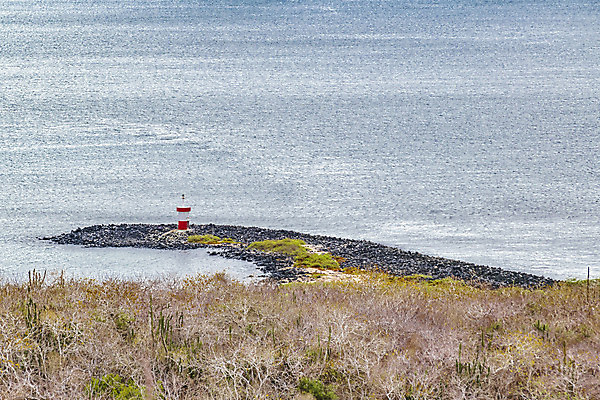 포토 JPG 해외이미지 응시 계절 섬 백그라운드 자연 건조 안테나 풍경 사람없음 야외 물 환경 미국 언덕 장면 태평양 에콰도르 갈라파고스 남쪽 내추럴 해외202004 해외포토 자연요소 시선 바다 북아메리카 통신 남아메리카 방향 생태계 파일형식 이미지허브