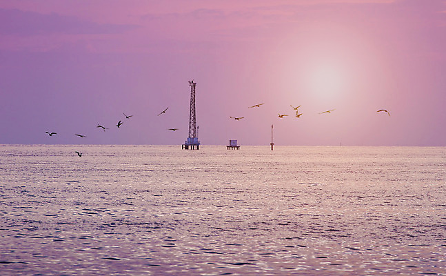 포토 JPG 해외이미지 파도 바다 분홍색 겨울 자연 갈매기 조류 하늘 표면 아침 바람 등대 따뜻함 사람없음 물 빛 햇빛 태양 일출 탑 보라색 일몰 새벽 흐름 연못 플랫 달콤 자주색 제비꽃 기중기 스카이라인 부표 해외202004 해외포토 주간 자연요소 동물 건축물 계절 꽃 컬러 컨셉 날씨 노을 중장비 맛 생태계 파일형식 이미지허브