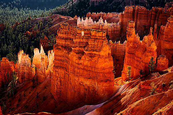 포토 JPG 해외이미지 모양 나무 공원 여행 오렌지 자연 탁자 아침 휴가 풍경 사람없음 빨간색 햇빛 여행객 환경 골짜기 절벽 가을 흰색 재산 황금 부식 산등성이 지느러미 북쪽 색동 남쪽 내추럴 생태학 인기 전국 막 해외202004 해외포토 주간 식물 계절 공공시설 교육 컬러 가구 과일 산 사람 금융 태양 방향 생태계 파일형식 이미지허브