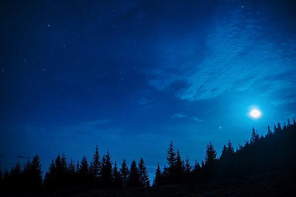 포토 JPG 해외이미지 나무 구름 별 백그라운드 자연 벽지 하늘 추상 불꽃 풍경 사람없음 목재 파란색 빛 우주 검은색 어둠 황혼 별자리 달 흰색 소나무 야간 숲 신비 순수 코스모스 질감 은하계 점성술 공상 천문학 별빛 성운 깊이 방법 많음 해외202004 해외포토 자연요소 식물 교육 꽃 컬러 컨셉 무늬 재료 불 일몰 생태계 파일형식 이미지허브