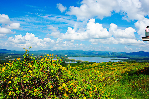 포토 JPG 해외이미지 나무 식물 계절 공원 꽃 도로 길 백그라운드 잎 벤치 건축양식 자연 하늘 휴식 새로움 거리 사람 풍경 잔디 사람없음 야외 목재 초록색 여름 파란색 빛 햇빛 태양 환경 정원 맑음 봄 산책 가을 도시 숲 장면 내추럴 해외202004 해외포토 자연요소 공공시설 건축 컬러 컨셉 의자 재료 교통시설 날씨 생태계 파일형식 이미지허브