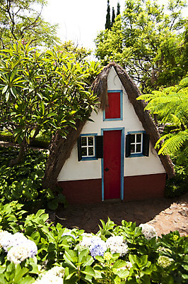 포토 JPG 해외이미지 나무 식물 공원 꽃 손바닥 사람없음 야외 초록색 와인 정원 벚꽃 개화 포르투갈 해외202004 해외포토 손 공공시설 유럽 컬러 주류 파일형식 이미지허브