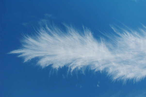 포토 JPG 해외이미지 구름 벽지 하늘 사람없음 파란색 침묵 흰색 우아함 깃털 해외202004 해외포토 자연요소 컬러 컨셉 소리 파일형식 이미지허브