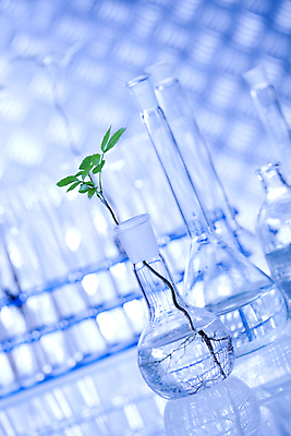 포토 JPG 해외이미지 식물 실내 실험 사람없음 아웃포커스 액체 화학 실험실 시험관 비커 화학실험 둥근플라스크 해외202004 해외포토 과학 촬영기법 실험기구 내부 플라스크 파일형식 이미지허브