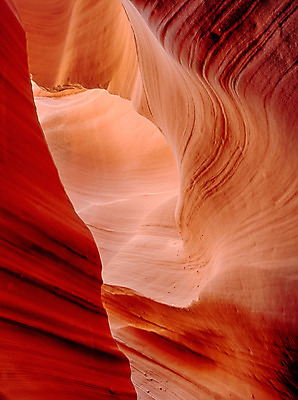 포토 JPG 해외이미지 공원 도로 백그라운드 자연 파노라마 사람없음 빨간색 골짜기 사막 가을 바위 인도인 영양 페이지 사암 애리조나 해외202004 해외포토 외국인 계절 공공시설 길 컬러 교통시설 촬영기법 동양인 미국 돌_바위 생태계 파일형식 이미지허브