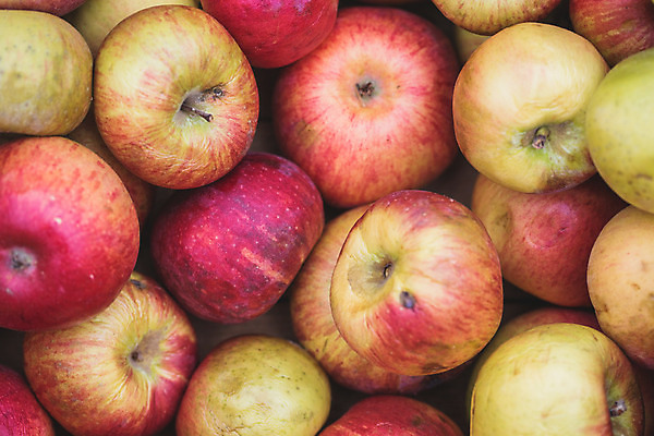 포토 JPG 해외이미지 음식 농업 사람없음 상자 농장 마을 정원 수확 가을 바위 신선 사과 먹기 에코 유기농 냄새 아로마 깨짐 밭일 못생김 해외202004 해외포토 웰빙 계절 산업 컨셉 과일 모션 환경 돌_바위 파일형식 이미지허브