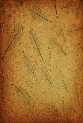 포토 JPG 해외이미지 디자인 종이 선 백그라운드 잎 패턴 자연 문구용품 봉투 건조 발렌타인데이 미술 팜플렛 사람없음 책 연필 갈색 노란색 다이어리 쪽지 공책 페인트 공백 수확 덮개 업무 그리기 메시지 클래식 잡지 매끈함 스케치 편지 보고서 질감 페이지 시트 그런지 스크랩북 옛날 조언 증명서 표준 화상 해외202004 해외포토 식물 컬러 컨셉 무늬 농업 모션 데이이벤트 문화예술 학용품 간행물 필기구 사무용품 뚜껑 작업 감각 상처 오브젝트 생태계 파일형식 이미지허브